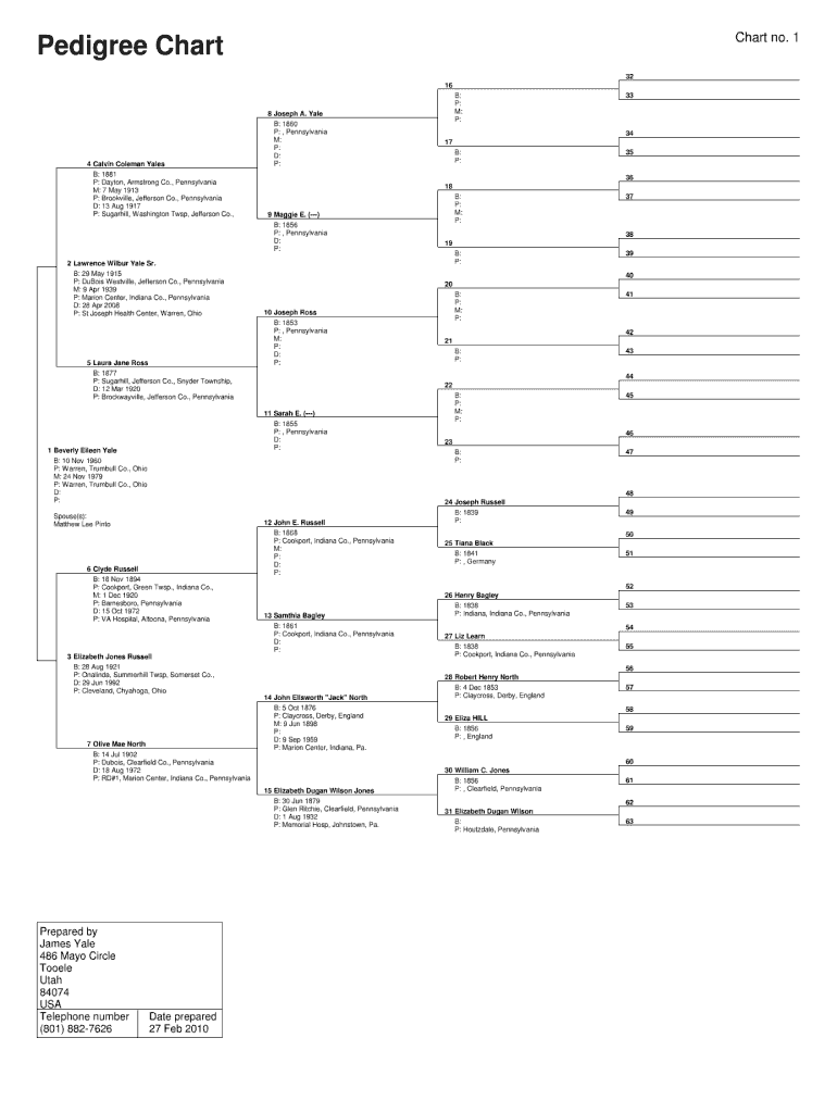 15 Generation Pedigree Chart Free Download Fill Out Sign Online DocHub