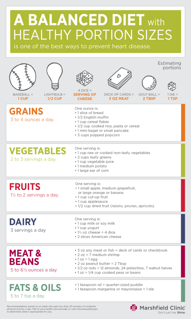 A Balanced Diet With Healthy Portions Infographic 