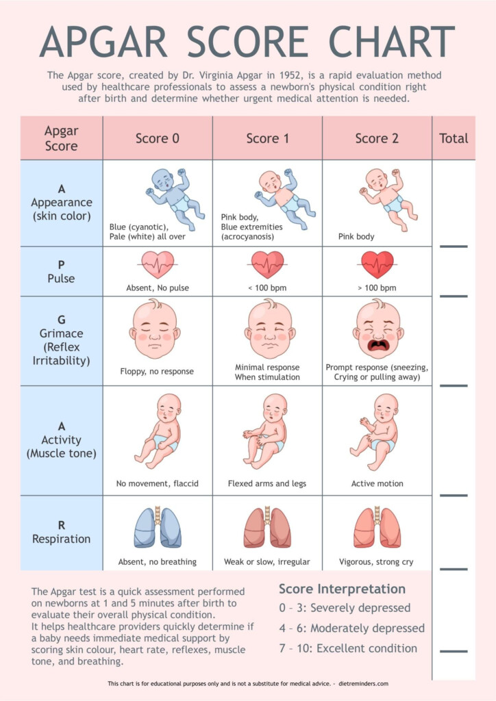 Apgar Score Chart Newborn Health Assessment Tool PDF Digital Download A4 Size Etsy