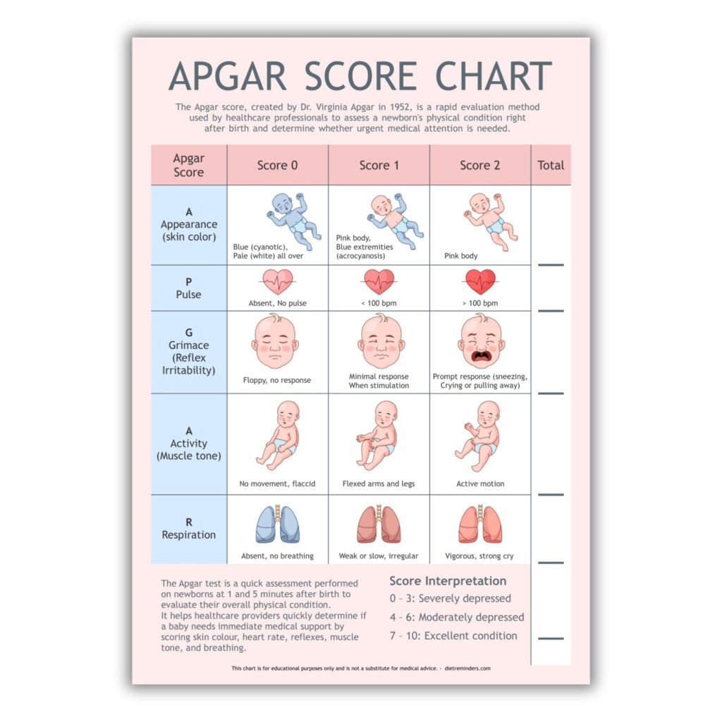 Apgar Score Chart Newborn Health Assessment Tool PDF Digital Download A4 Size Etsy
