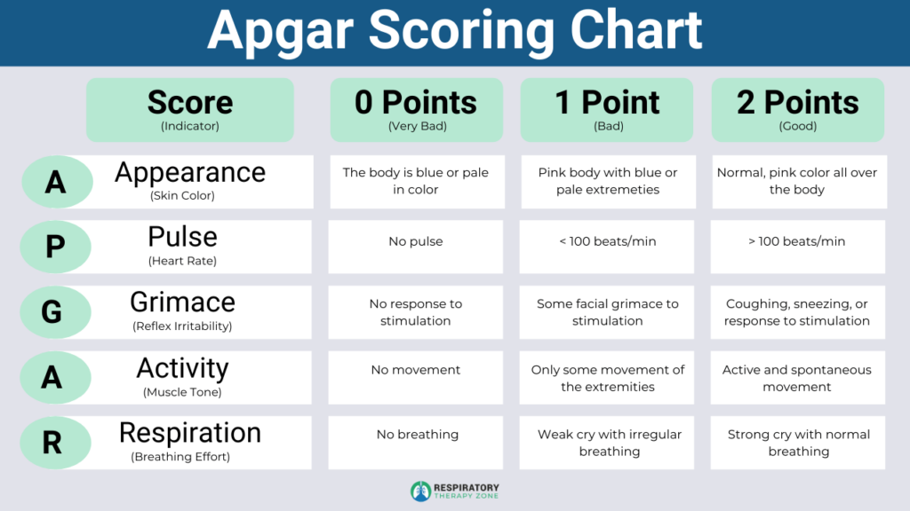 Apgar Score Sheet Printable