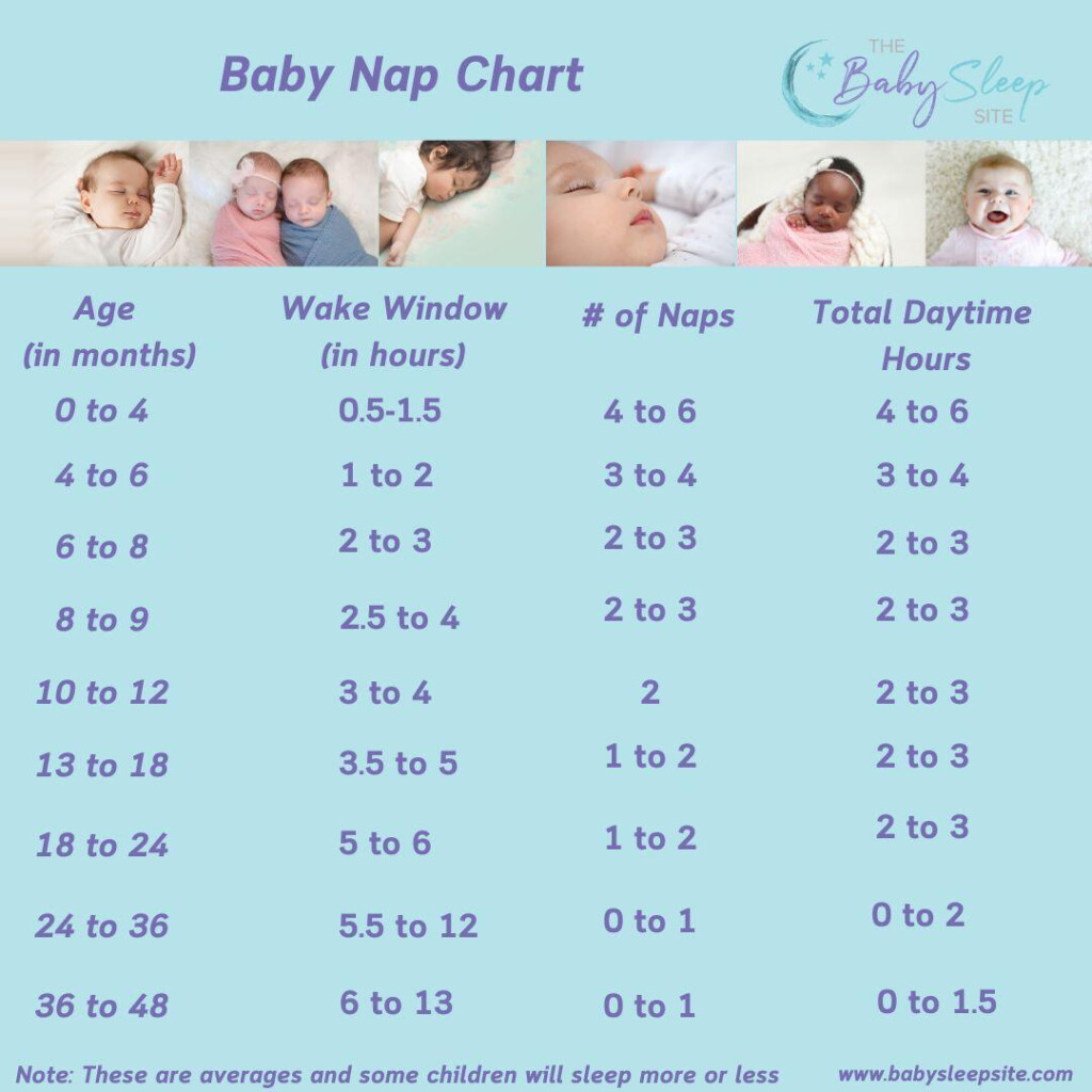 Baby Nap Chart How Many Naps and How Long By Age The Baby Sleep Site