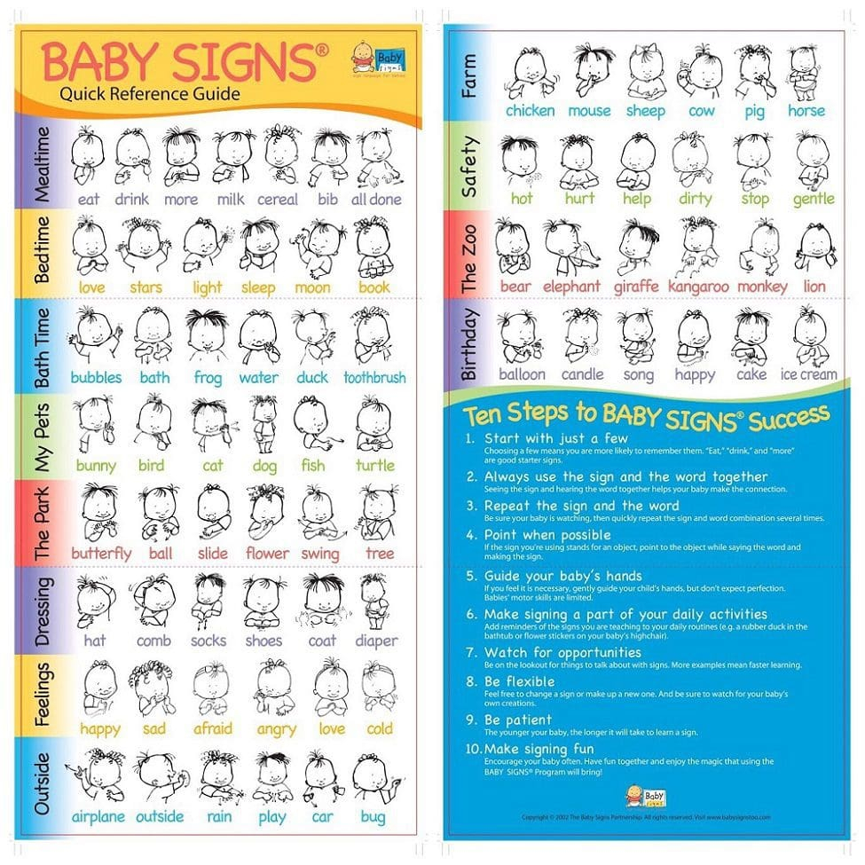 Baby Signs Quick Reference Guide Set Of 5