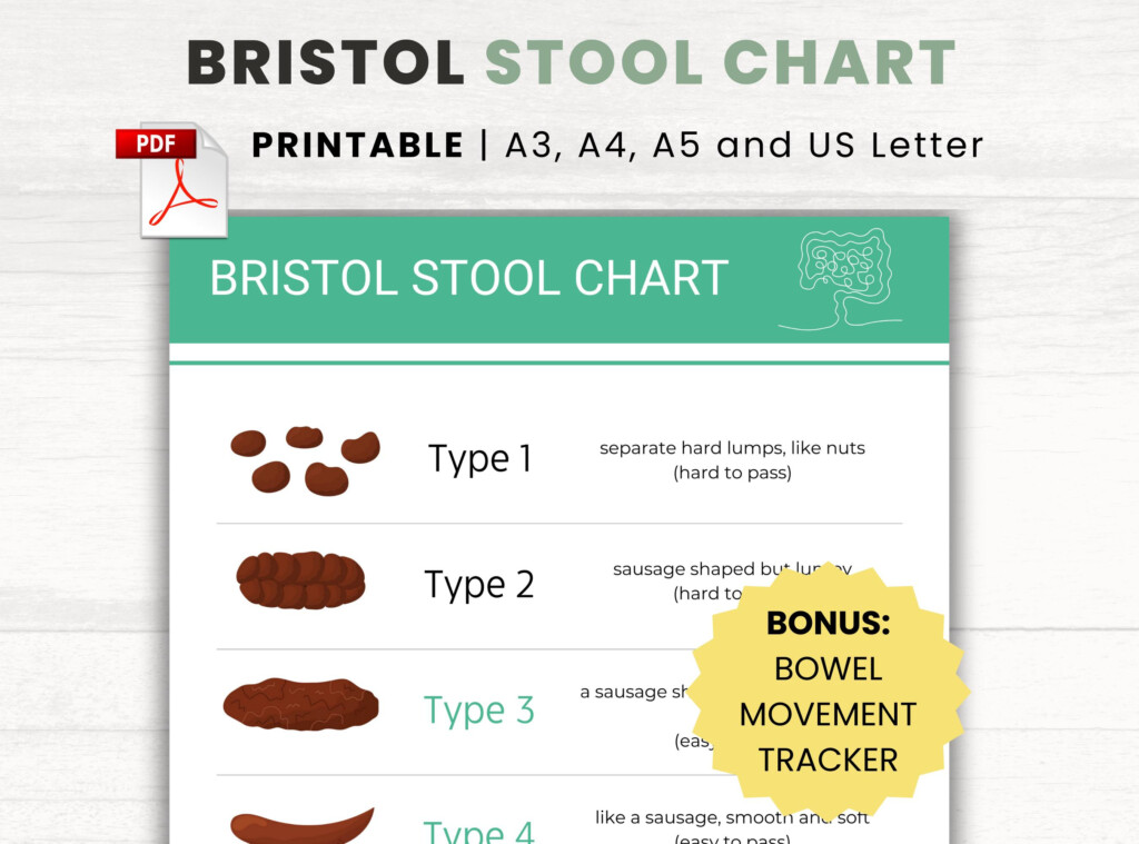 Bristol Stool Chart PDF Gut Health Tracker A3 A4 A5 US Letter Etsy