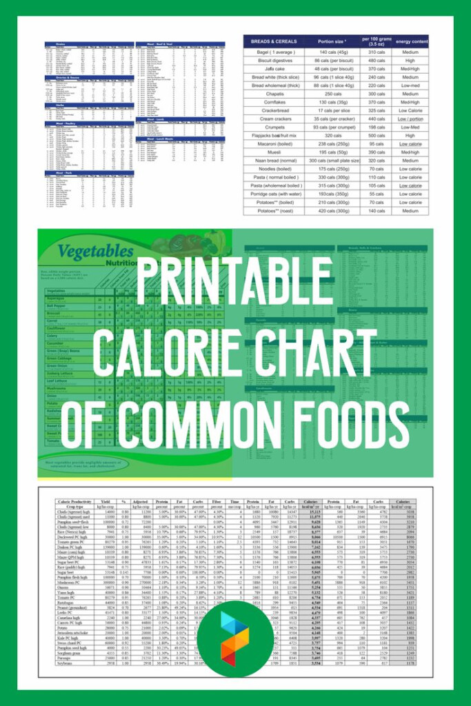 Calorie Chart Of Common Foods 10 Free PDF Printables Printablee
