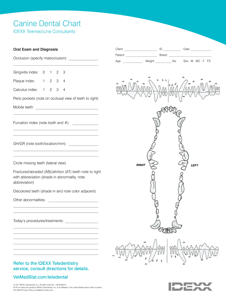 Canine Dental Chart Fill Online Printable Fillable Blank PdfFiller