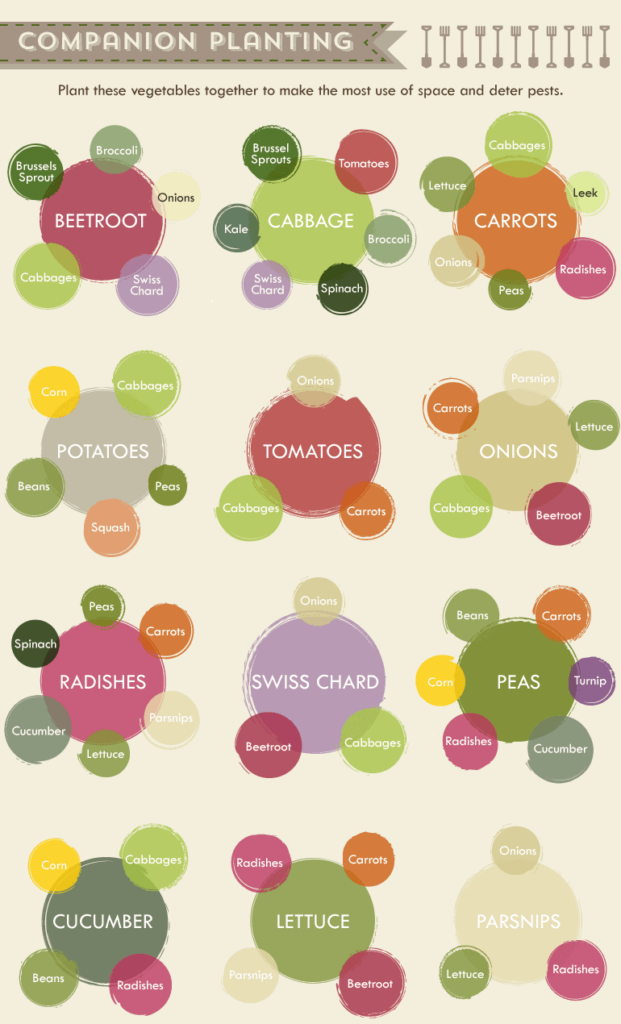 Collection Of Companion Planting Charts Guides And PDFs World Water Reserve
