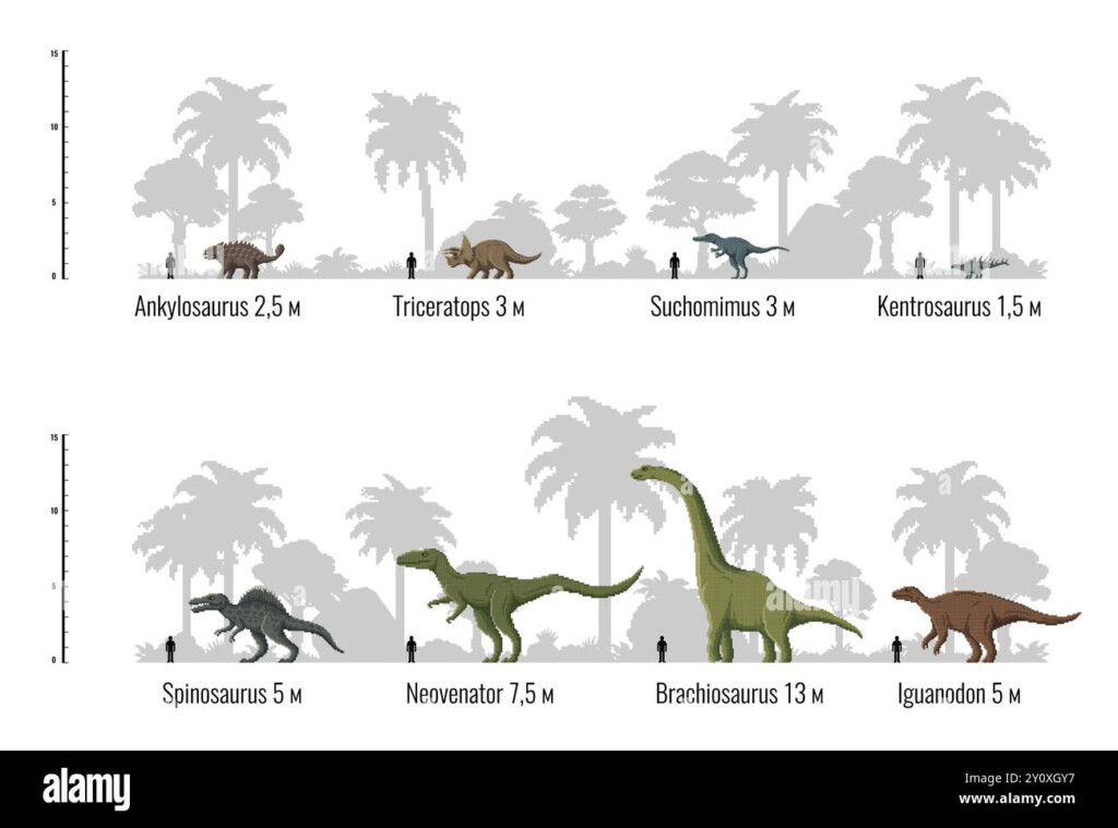 Dinosaur Size Chart Hi res Stock Photography And Images Alamy