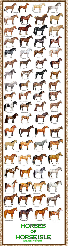 Discover 10 Horse Color Chart And Horse Coloring Ideas On This Pinterest Board Horse Facts Horse Color Chart Horse Breeds And More