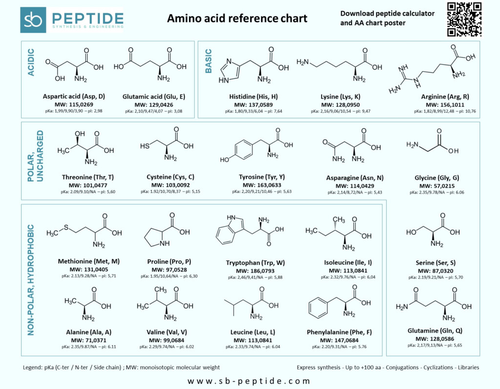 Download Amino Acids Chart And Reference Table