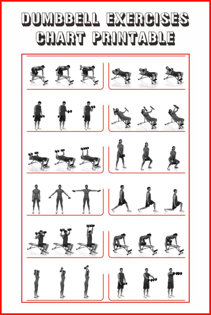 Dumbbell Exercises Chart 10 Free PDF Printables Printablee