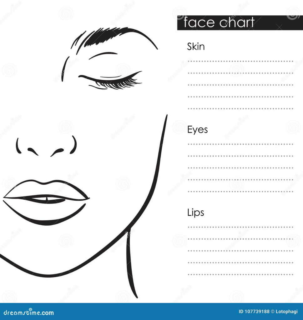 Face Chart Template Stock Illustrations 2 288 Face Chart Template Stock Illustrations Vectors Clipart Dreamstime