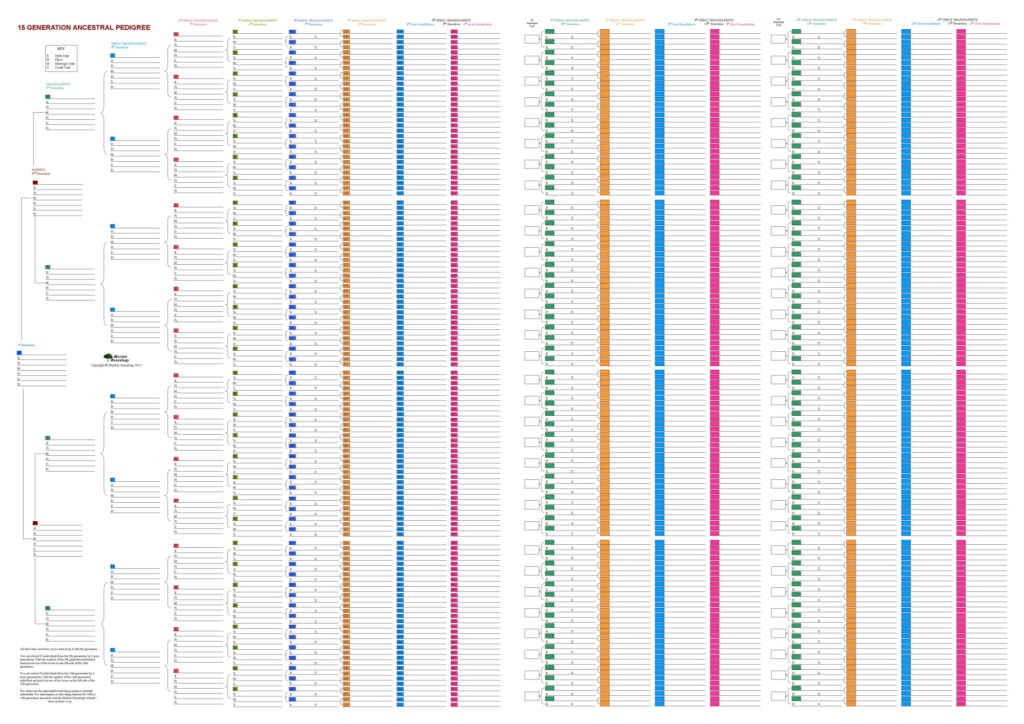 Family Tree Templates Descendants Of Our Ancestors