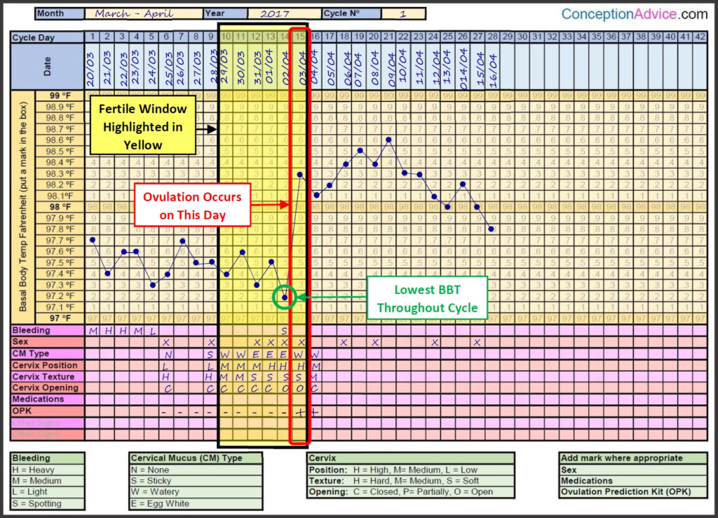Fertility Charting Fertile Window Calculator Conception Advice