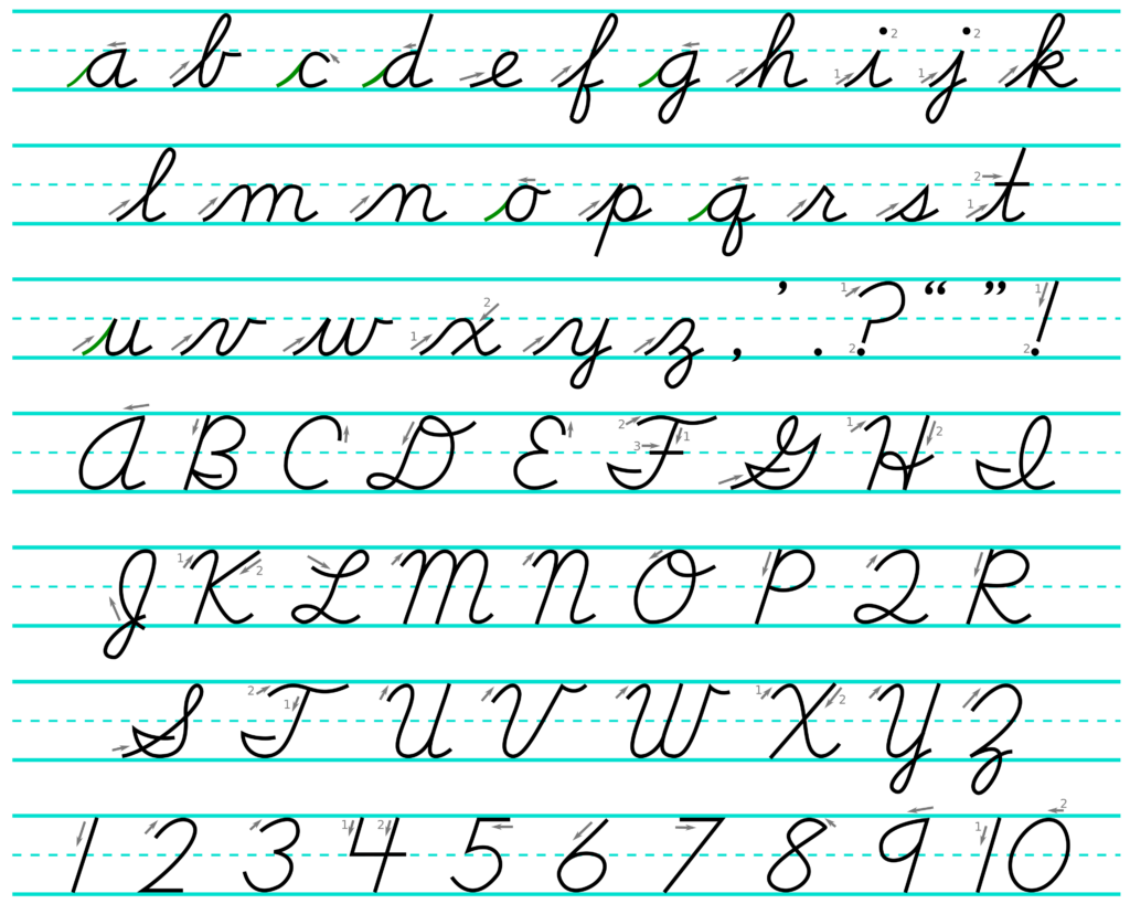 File D Nealian Cursive svg Wikimedia Commons
