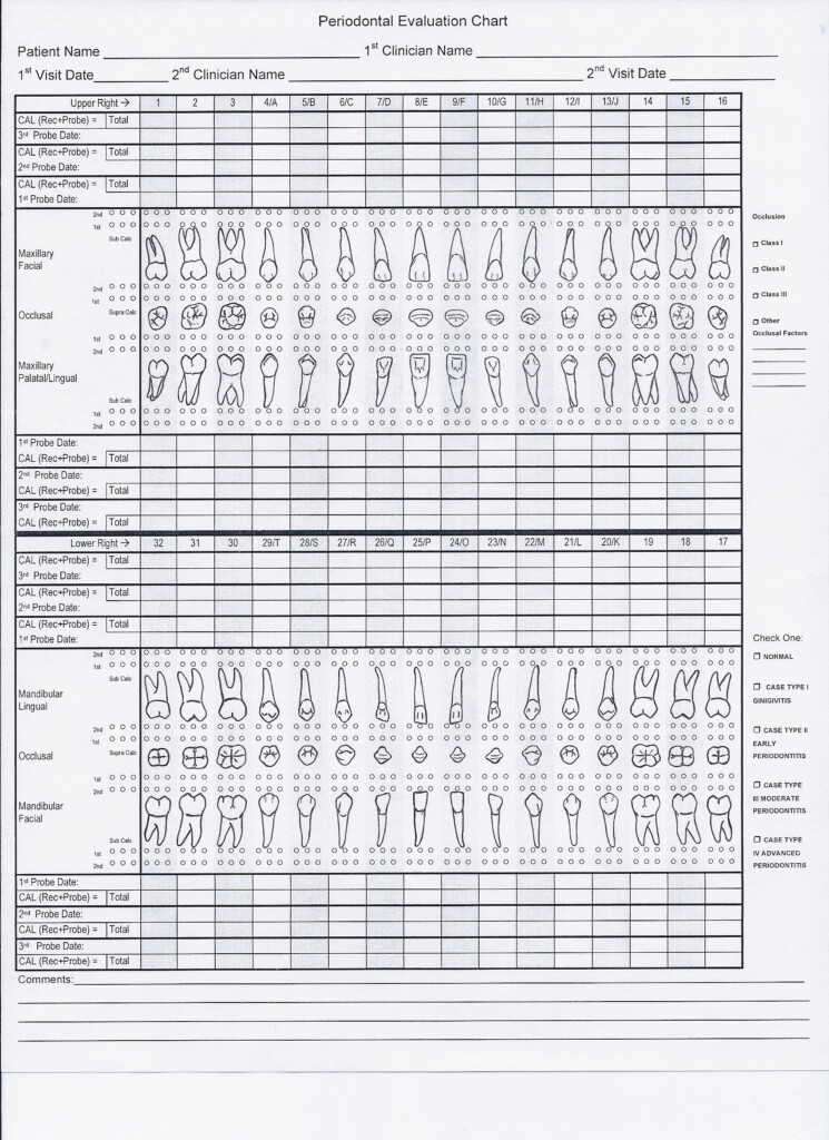 File Periodontal Chart Illustrated jpg Wikipedia