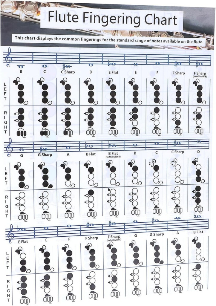 Flute Fingering Chart Full Size Large Print Beginner Friendly Small 28x21cm EBay