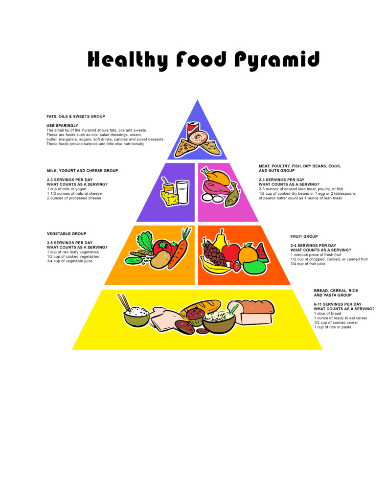 Food Guide Pyramid FREE Printouts