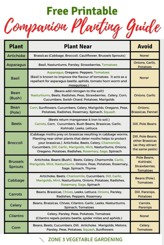 Free Printable Companion Planting Chart