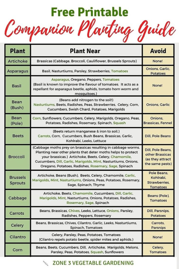 Free Printable Companion Planting Chart