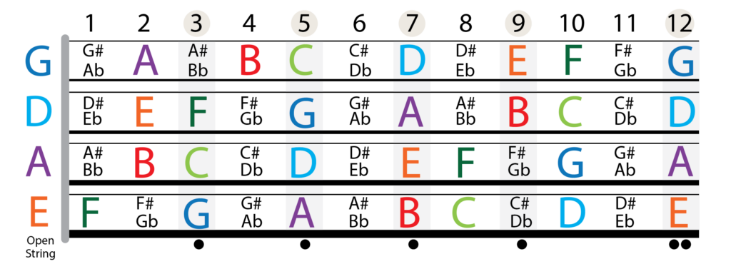 Fretboard Notes Image Theory BassBuzz Forum