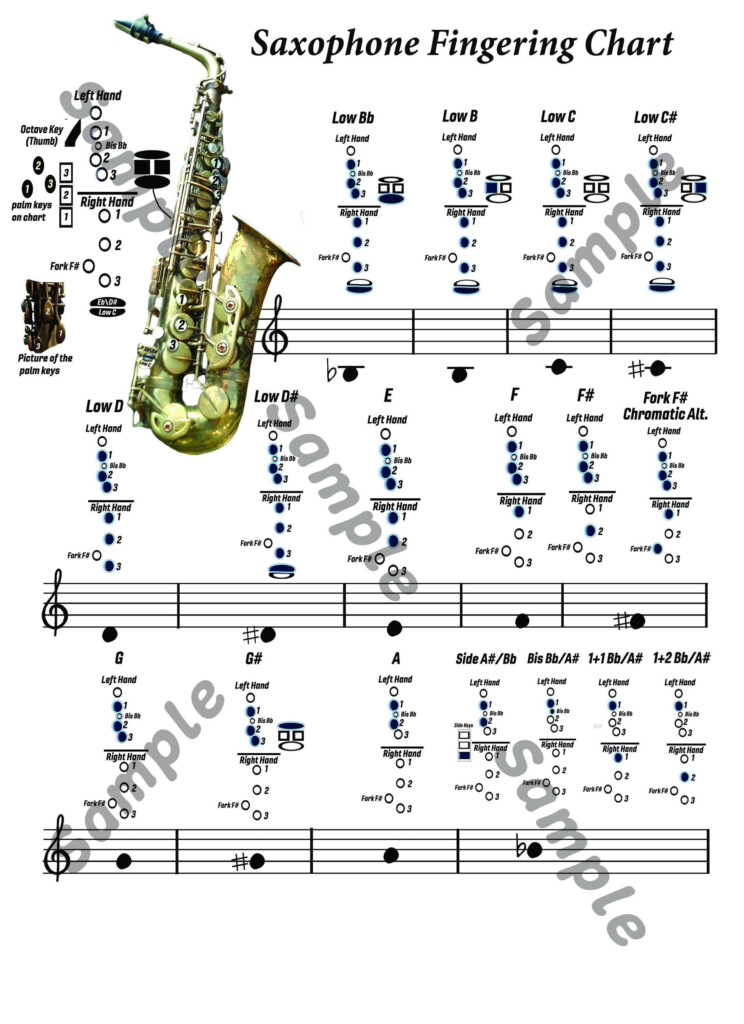 Full Range Alto Saxophone Fingering Chart From Low Bb To Altissimo D very High Notes Plus Printable Manuscript Paper Etsy
