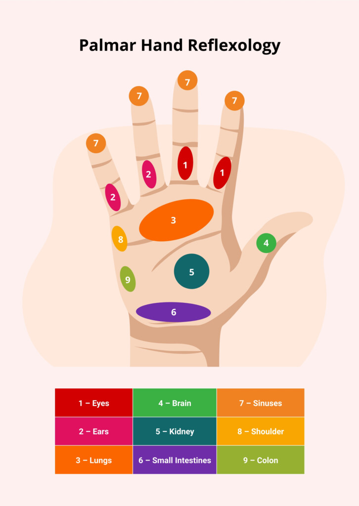 Hand Reflexology Chart In Illustrator PDF Download Template