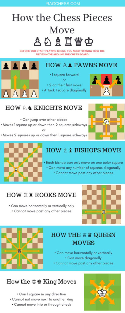 How The Pawns Knights Bishops Rooks Queen King Move In Chess