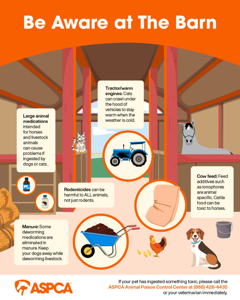 Pet Poison Prevention Infographics And Resources ASPCApro Pet Poison Prevention Infographics And Resources ASPCApro