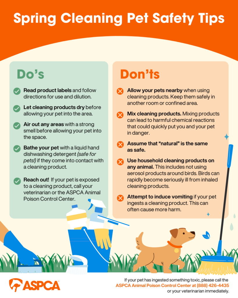 Pet Poison Prevention Infographics And Resources ASPCApro Pet Poison Prevention Infographics And Resources ASPCApro