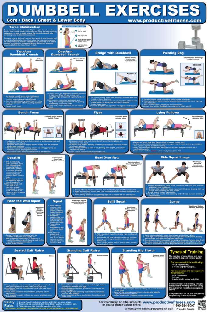 Poster Dumbbell And Barbell Workout At Home Pdf Printable Dumbbell Workout Poster Dumbbell Workout Chart Printable