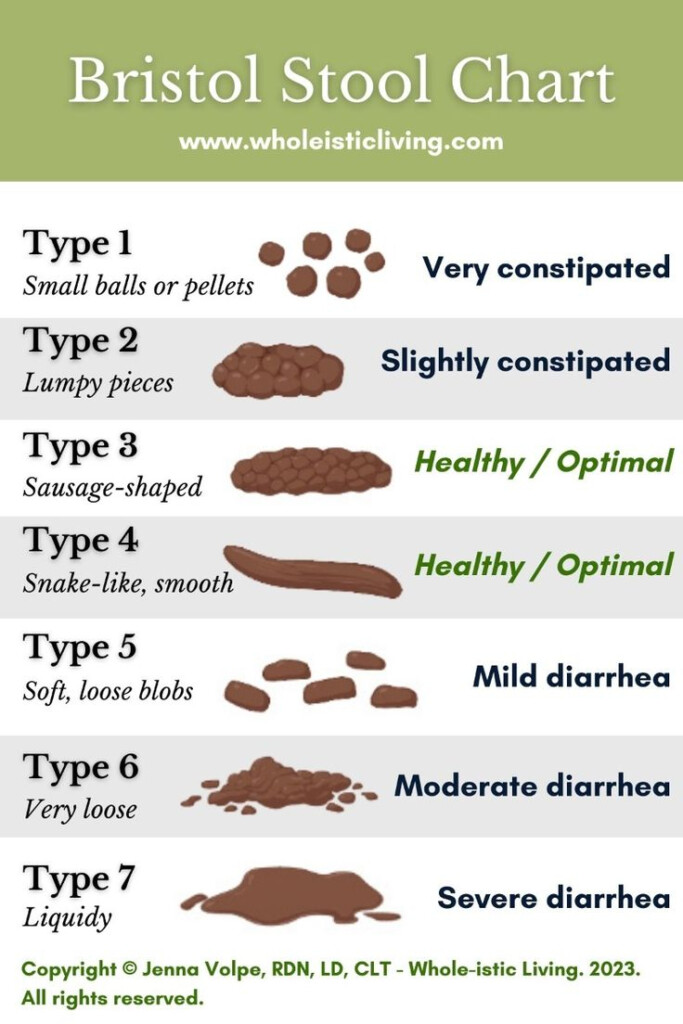 Printable Bristol Stool Chart PDF decode Your Poop Meaning 