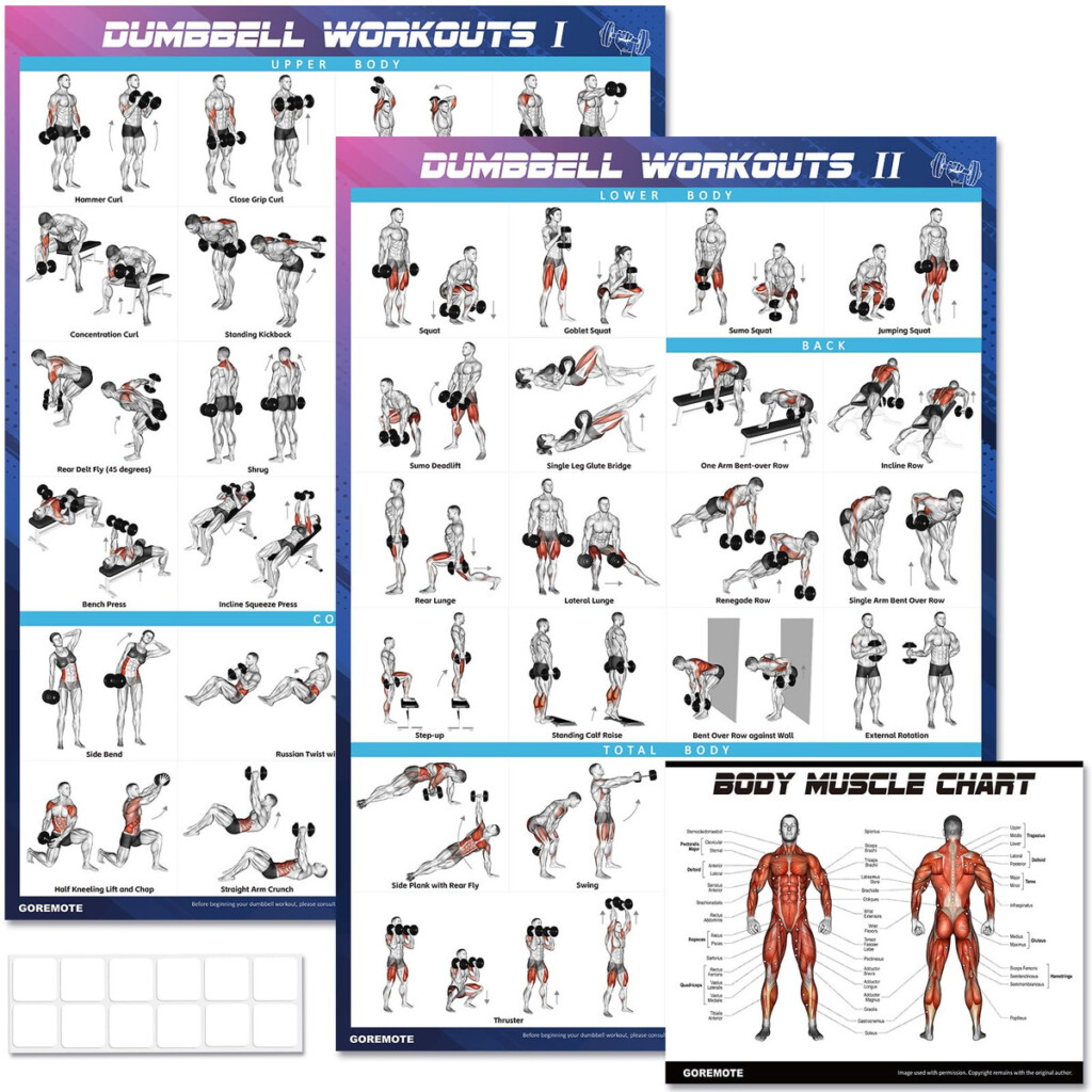 Printable Multi Gym Exercise Chart Printable Free Multi Gym Exercises Chart Free Printable Gym