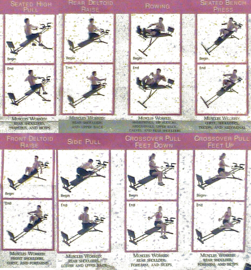 Printable Weider Pro Weider Ultimate Body Works Workout Guide Exercise Chart Pdf Weider Ultimate Body Work