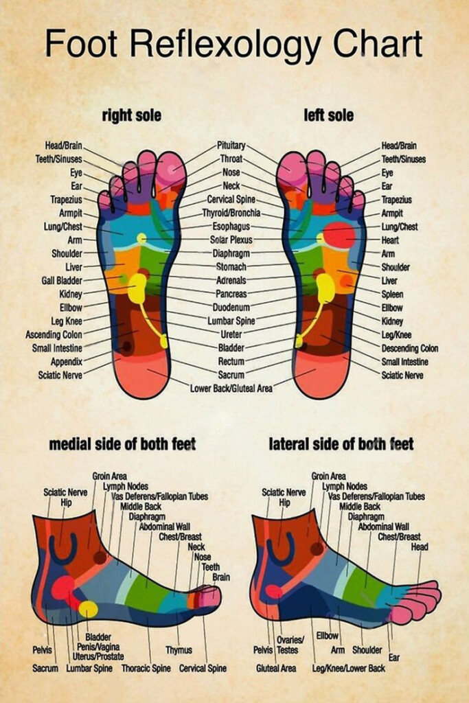 REFLEXOLOGY Chart 