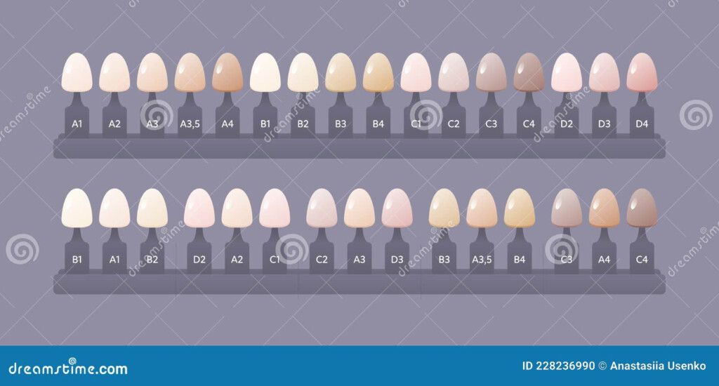 Tooth Shade Guide Stock Illustrations 54 Tooth Shade Guide Stock Illustrations Vectors Clipart Dreamstime