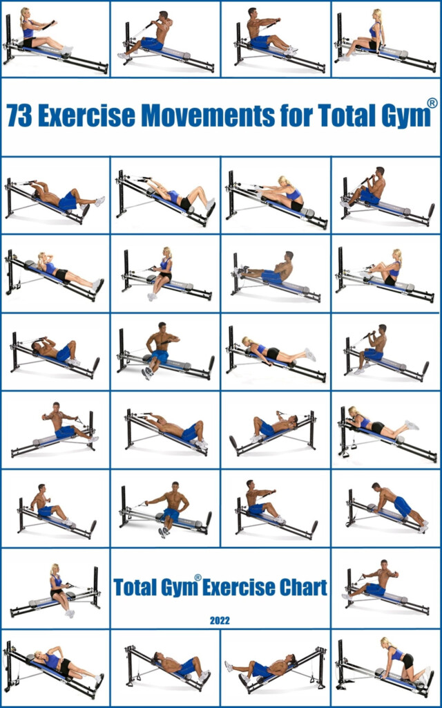 Total Gym Exercise Chart 73 Movements ebook Pdf Etsy Norway