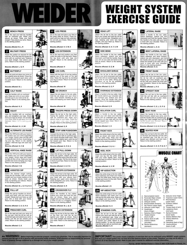 Weider Body Works Exercise Chart Pdf Printable Weider Pro Weider Ultimate Body Workout Weider Ultimate
