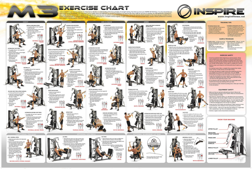 Weider Body Works Exercise Chart Pdf Printable Weider Pro Weider Ultimate Body Works Workout Guide